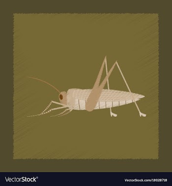 Flat shading style grasshopper vector image