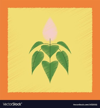 Flat shading style herb amaranthus vector image