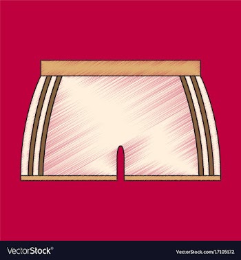Flat shading style icon athletic shorts vector image
