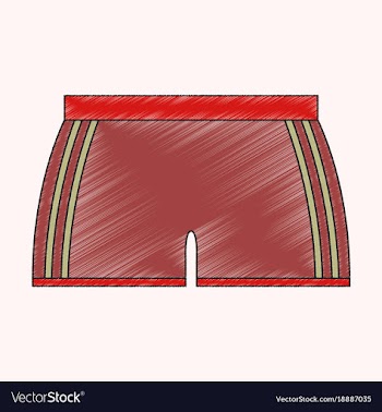 Flat shading style icon athletic shorts vector image
