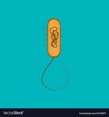 Flat shading style icon bacteria vector image