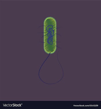 Flat shading style icon bacteria vector image