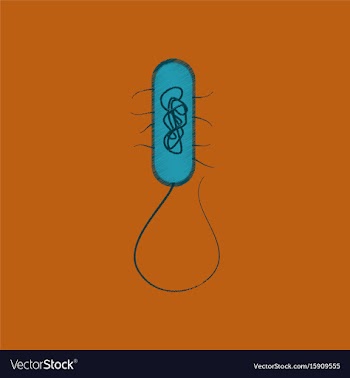 Flat shading style icon bacteria vector image