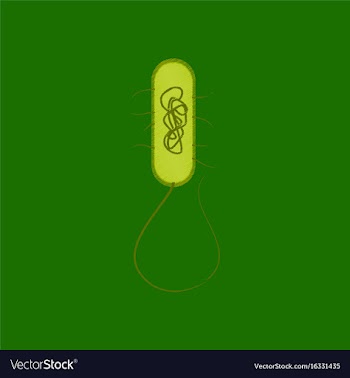 Flat shading style icon bacteria vector image