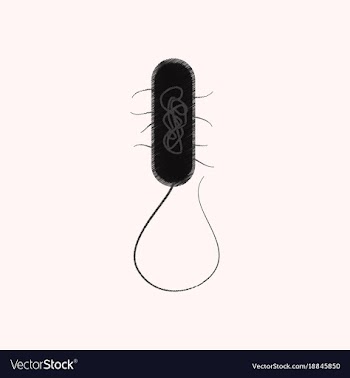 Flat shading style icon bacteria vector image