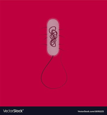 Flat shading style icon bacteria vector image