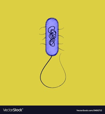 Flat shading style icon bacteria vector image
