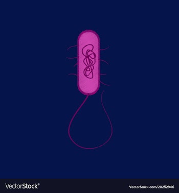 Flat shading style icon bacteria vector image