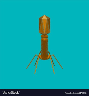 Flat shading style icon bacteriophage vector image