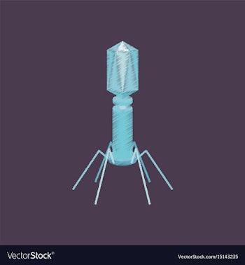 Flat shading style icon bacteriophage vector image