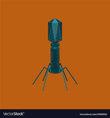 Flat shading style icon bacteriophage vector image