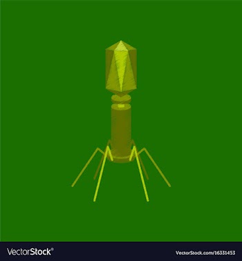 Flat shading style icon bacteriophage vector image