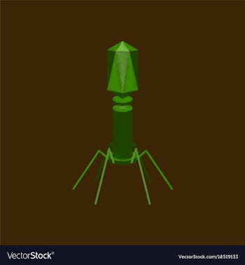 Flat shading style icon bacteriophage vector image