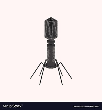 Flat shading style icon bacteriophage vector image
