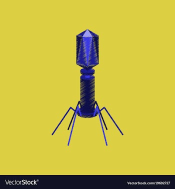 Flat shading style icon bacteriophage vector image