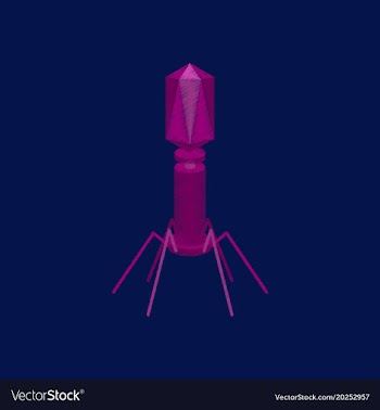 Flat shading style icon bacteriophage vector image