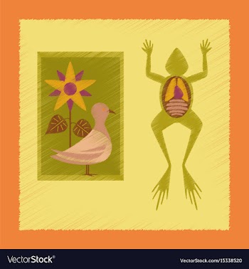 Flat shading style icon biology frog bird flowers vector image