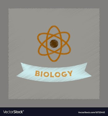 Flat shading style icon biology molecule vector image
