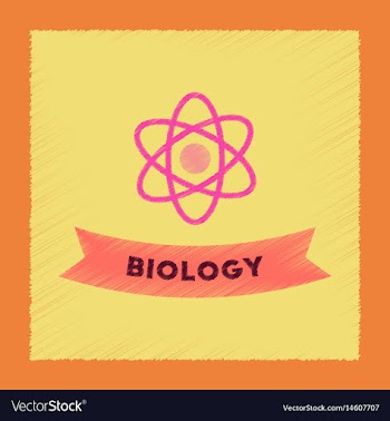Flat shading style icon biology molecule vector image