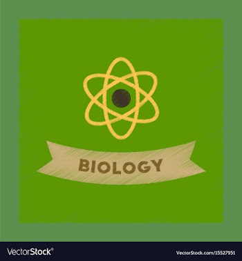 Flat shading style icon biology molecule vector image