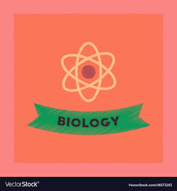 Flat shading style icon biology molecule vector image
