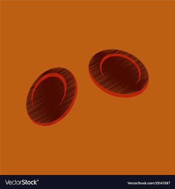 Flat shading style icon blood cells vector image