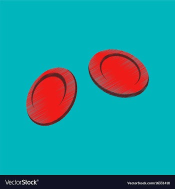 Flat shading style icon blood cells vector image