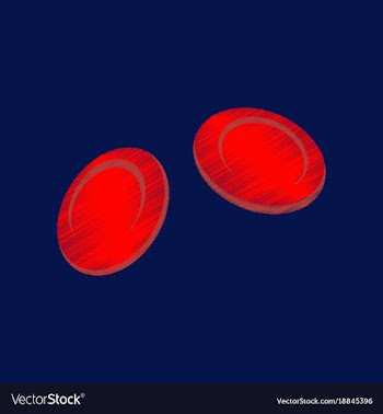 Flat shading style icon blood cells vector image