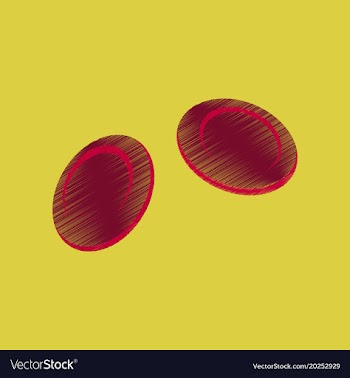 Flat shading style icon blood cells vector image