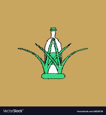 Flat shading style icon bottle in grass vector image