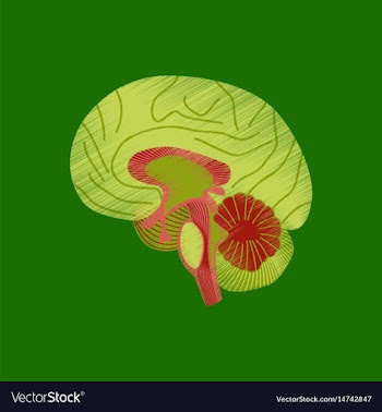 Flat shading style icon brain vector image