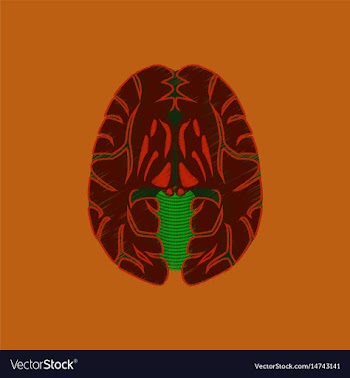 Flat shading style icon brain vector image