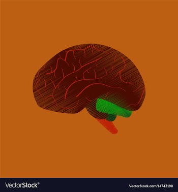 Flat shading style icon brain vector image