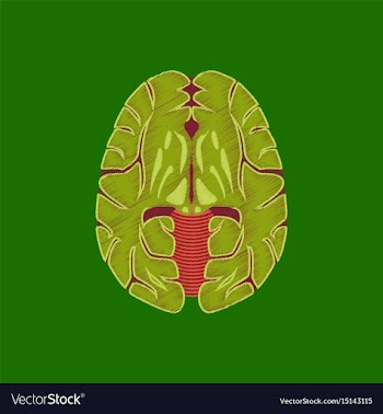Flat shading style icon brain vector image