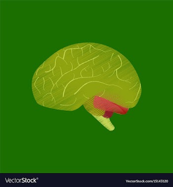 Flat shading style icon brain vector image