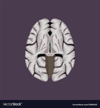 Flat shading style icon brain vector image