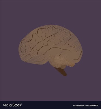 Flat shading style icon brain vector image