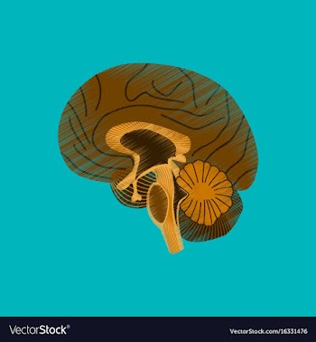 Flat shading style icon brain vector image