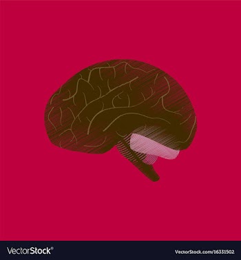 Flat shading style icon brain vector image