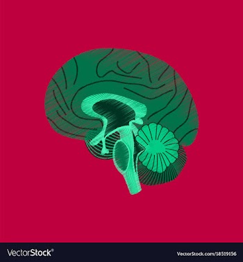 Flat shading style icon brain vector image