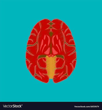 Flat shading style icon brain vector image