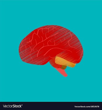 Flat shading style icon brain vector image