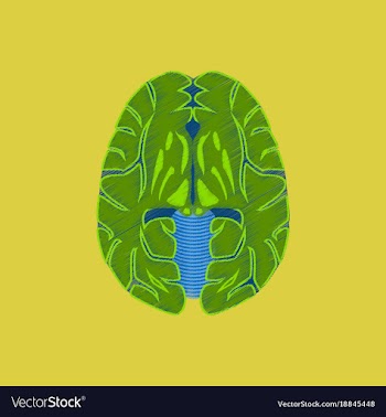 Flat shading style icon brain vector image