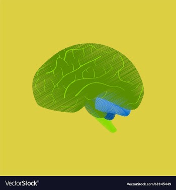Flat shading style icon brain vector image