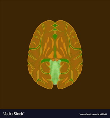 Flat shading style icon brain vector image