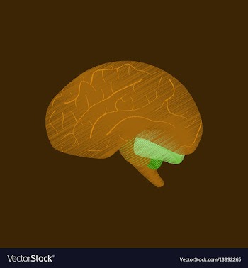 Flat shading style icon brain vector image