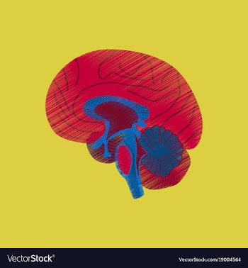 Flat shading style icon brain vector image