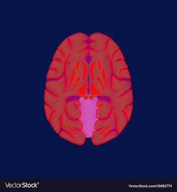 Flat shading style icon brain vector image