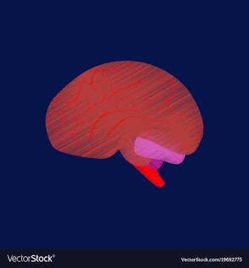 Flat shading style icon brain vector image
