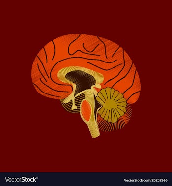 Flat shading style icon brain vector image